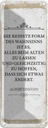 Blechschild 27x10 cm Einstein reinste Form Wahnsinns Spruch Zitat