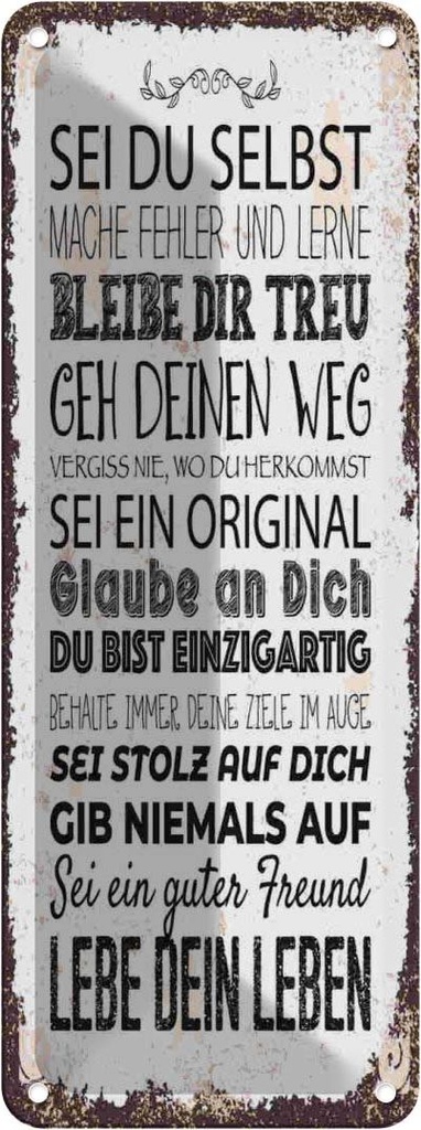 Blechschild 27x10 cm Sei du selbst mache Fehler lerne Spruch Zitat