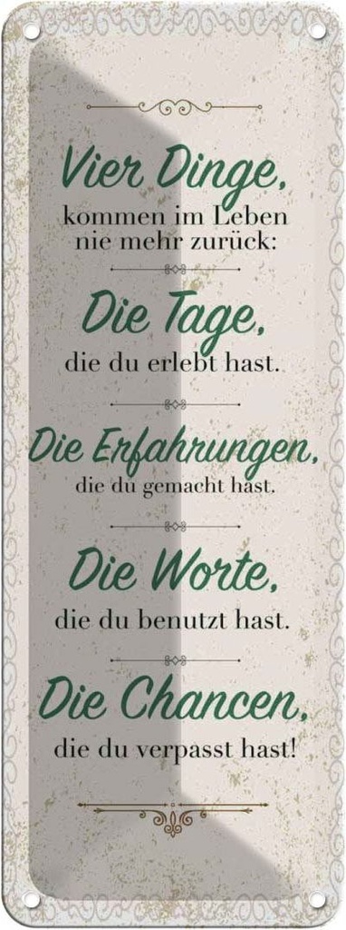 Blechschild 27x10 cm Vier Dinge kommen nie zurück Spruch Zitat