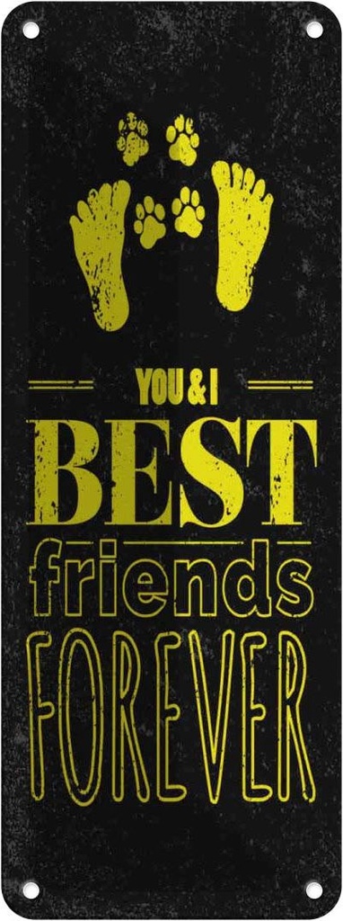 Blechschild 27x10 cm Freunde You I best friends forever