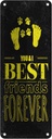 Blechschild 27x10 cm Freunde You I best friends forever