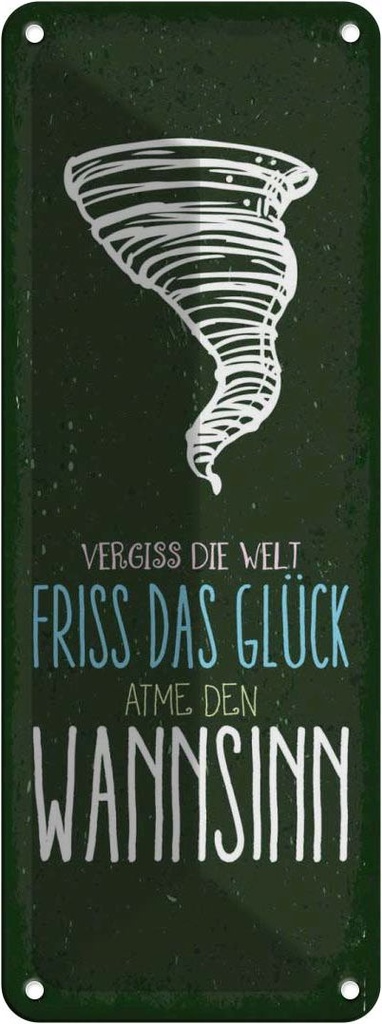 Blechschild 27x10 cm Glück vergiss Welt atme Wahnsinn Spruch Zitat