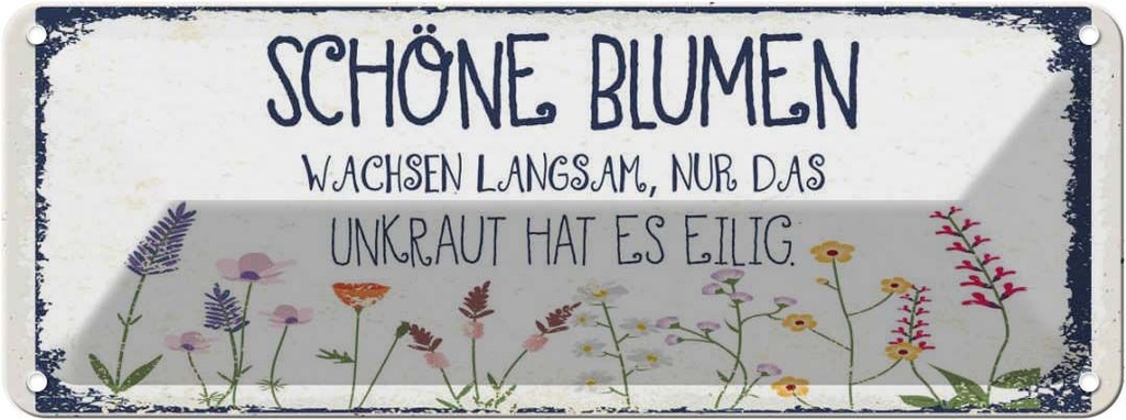 Blechschild 10x27 cm schöne Blumen wachsen langsam Spruch Zitat