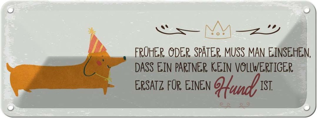 Blechschild 10x27 cm kein Ersatz für einen Hund