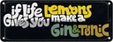 Blechschild 10x27 cm life gives Lemons make Gin & Tonic