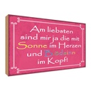 Holzschild 30x40 cm am liebsten sind die mit Sonne