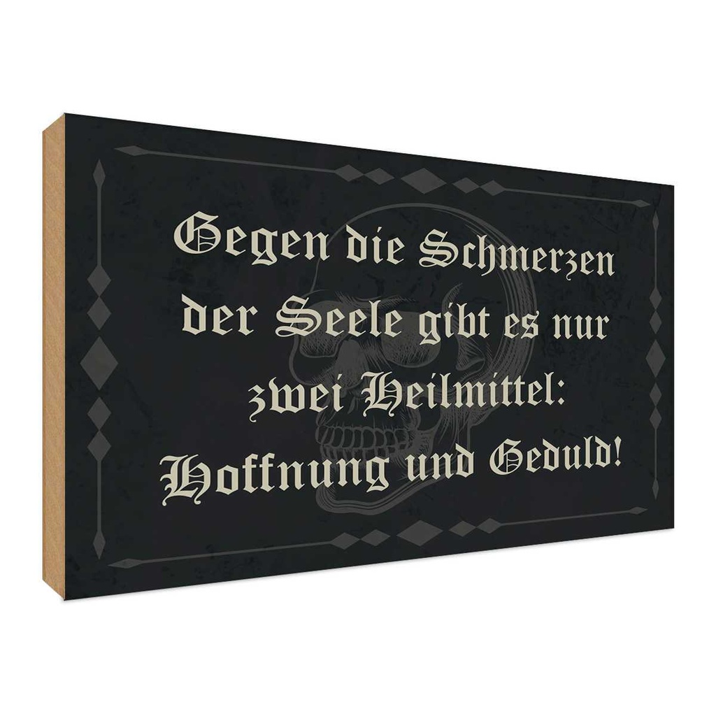 Holzschild 30x40 cm Schmerzen Seele zwei Heilmittel Spruch Zitat