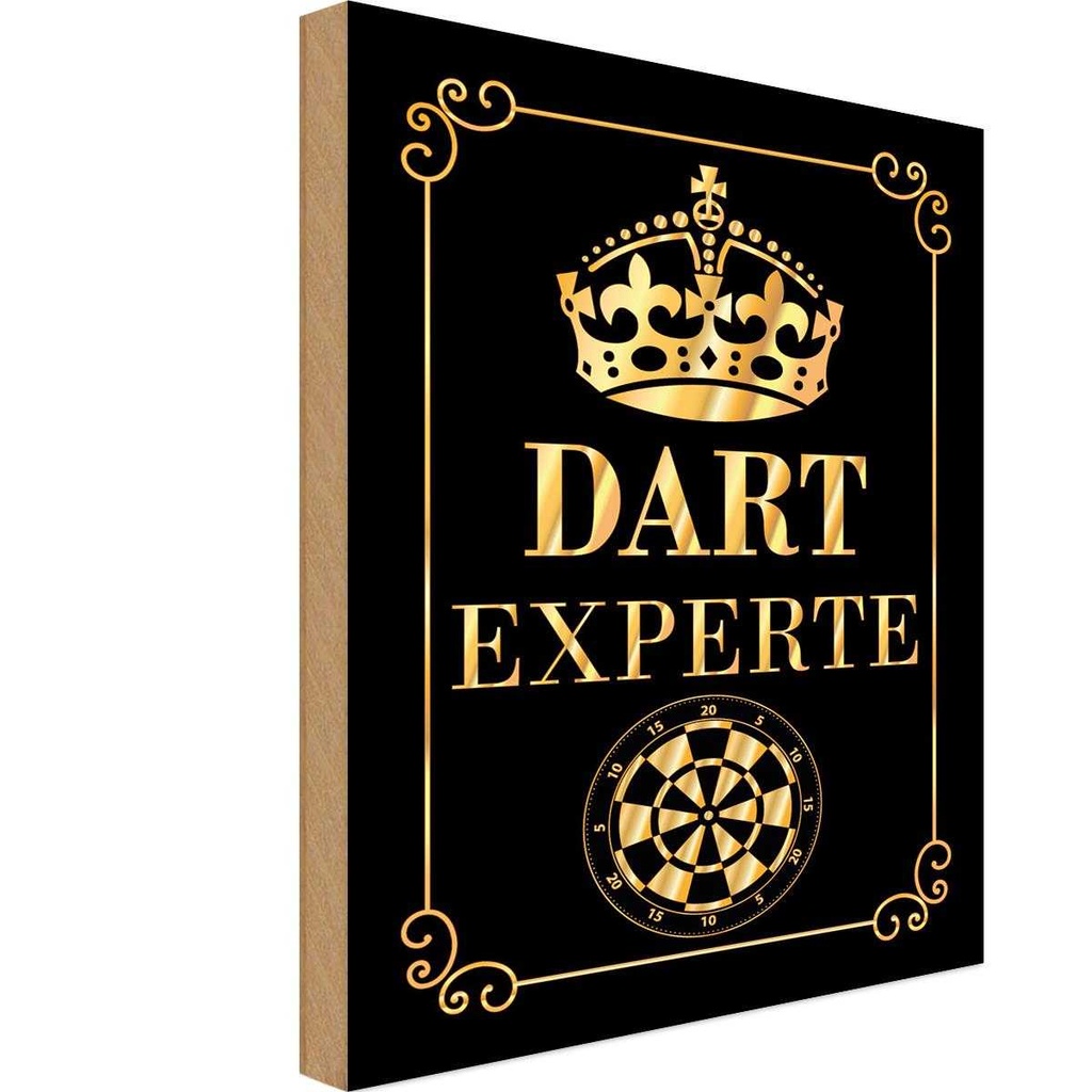 Holzschild 40x30 cm Dart Experte Krone Sport Hobby