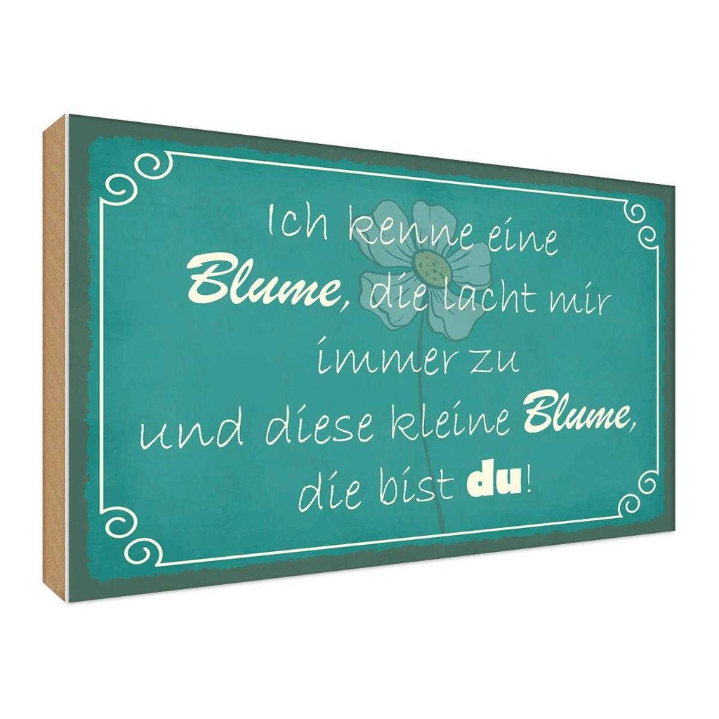 Holzschild 30x40 cm ich kenne eine Blume die bist du Spruch Zitat