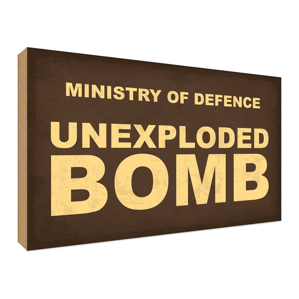 Holzschild 30x40 cm ministry of defence unexploded Dekoration
