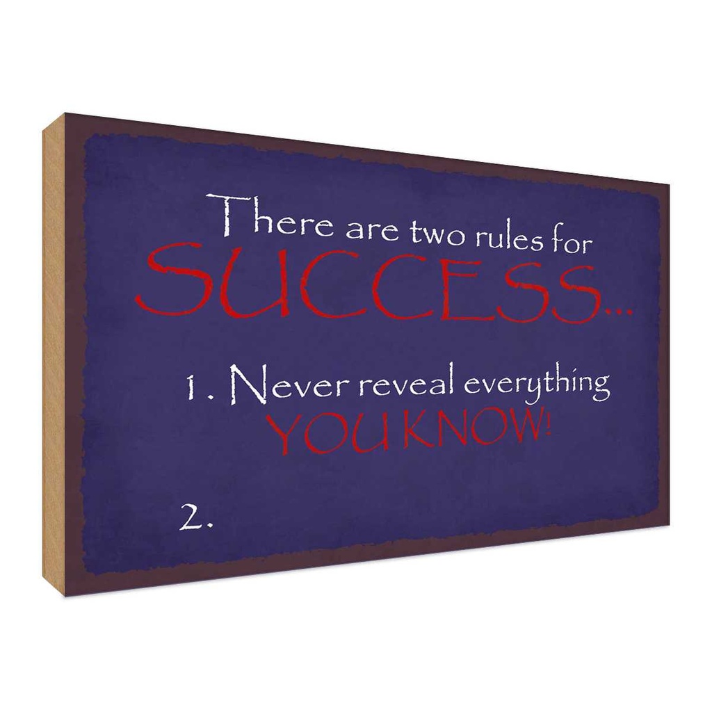 Holzschild 30x40 cm two rules for Success never Dekoration