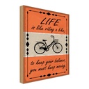 Holzschild 40x30 cm Life is like riding a bike Spruch Zitat