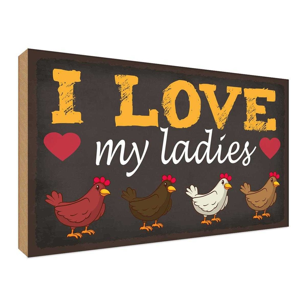 Holzschild 30x40 cm Hühner i love my ladies Tier Haustier