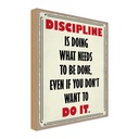 Holzschild 40x30 cm Discipline is doing what needs Dekoration