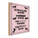 Holzschild 40x30 cm Pferde Wallah Hengst Pony Stute Tier Haustier