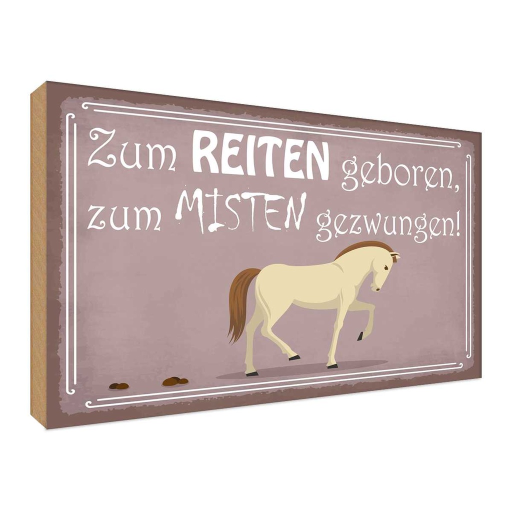Holzschild 30x40 cm zum Reiten geboren Pferd Tier Haustier