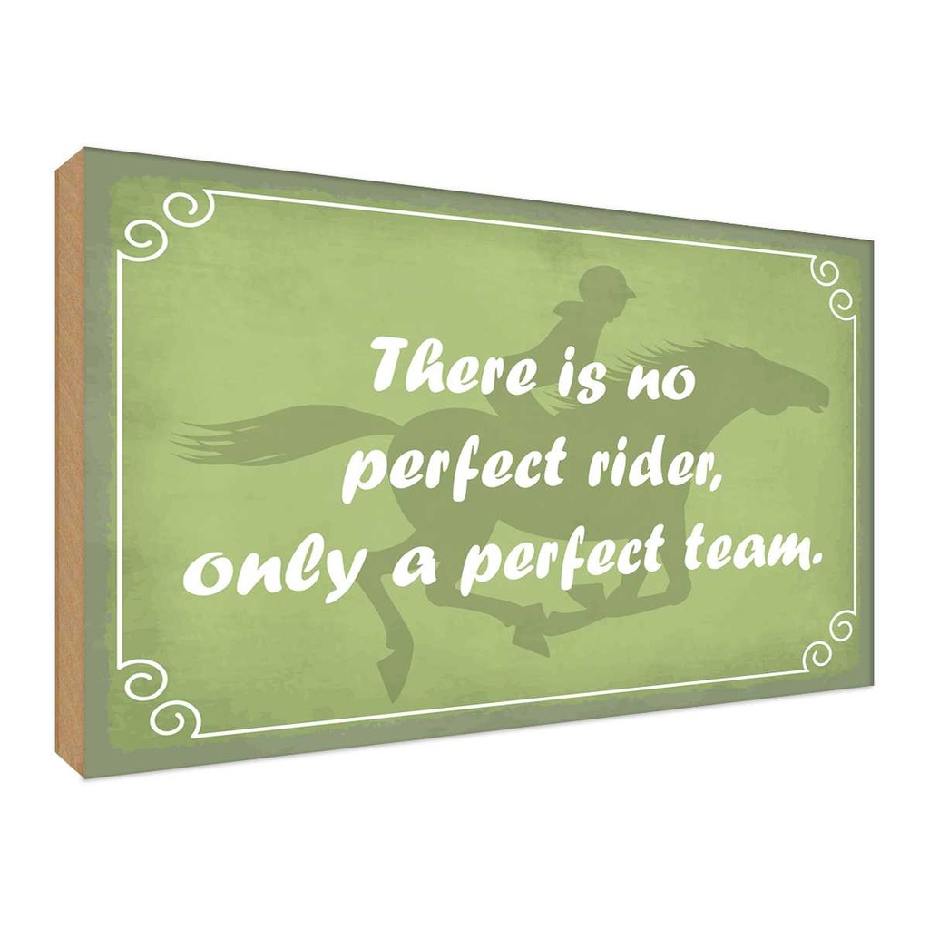 Holzschild 30x40 cm there is no perfect rider only Dekoration