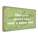 Holzschild 30x40 cm there is no perfect rider only Dekoration