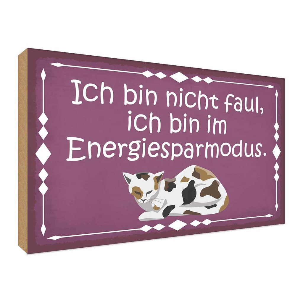Holzschild 30x40 cm Katze ich bin nicht faul im Tier Haustier