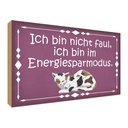 Holzschild 30x40 cm Katze ich bin nicht faul im Tier Haustier