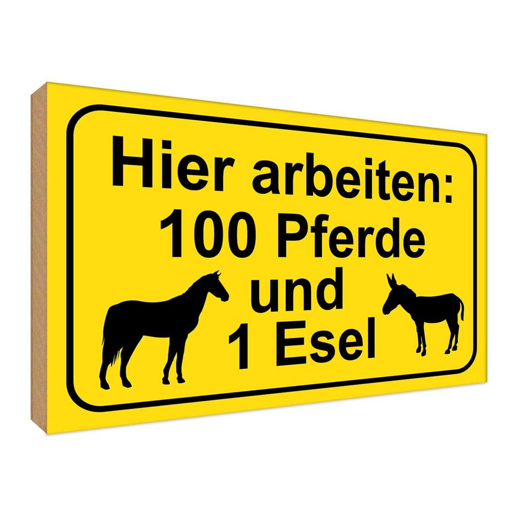 Holzschild 30x40 cm arbeiten 100 Pferde und 1 Esel