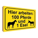 Holzschild 30x40 cm arbeiten 100 Pferde und 1 Esel