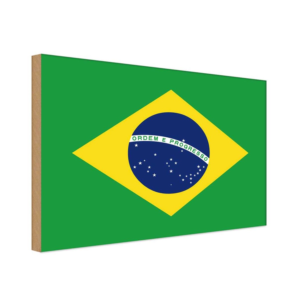 Holzschild 30x40 cm Brasiliens Brazil Flagge Fahne Wappen
