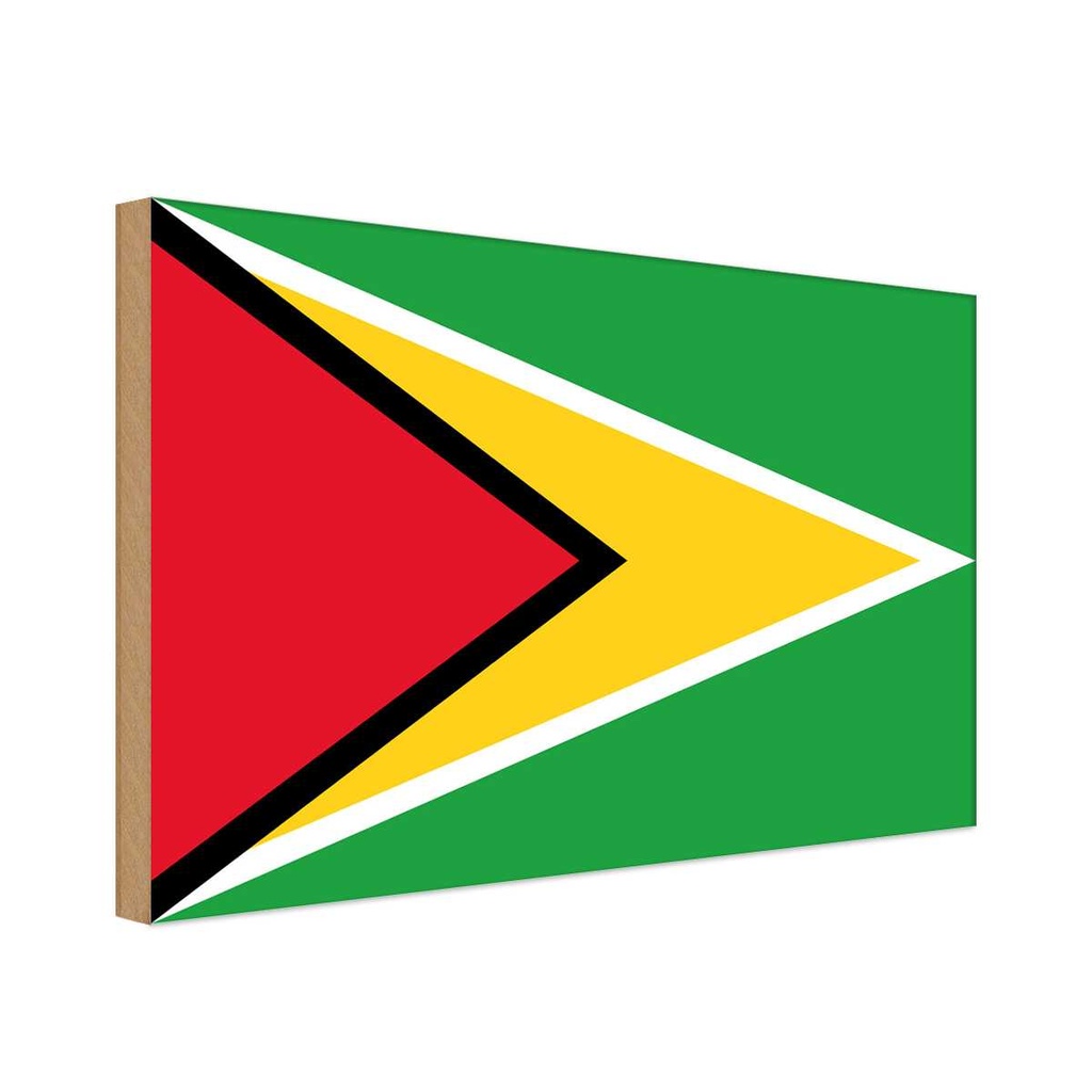 Holzschild 30x40 cm Guyanas Guyana Flagge Fahne Wappen