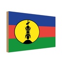 Holzschild 30x40 cm Neukaledonien New Caledonia Flagge Fahne Wappen