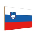 Holzschild 30x40 cm Sloweniens Slovenia Flagge Fahne Wappen