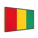 Holzschild 30x40 cm Guineas Retro Guinea Flagge Fahne Wappen