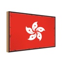 Holzschild 30x40 cm Hongkongs Retro Hong Kong Flagge Fahne Wappen