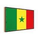 Holzschild 30x40 cm Senegal Retro Flagge Fahne Wappen