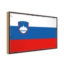 Holzschild 30x40 cm Sloweniens Retro Slovenia Flagge Fahne Wappen