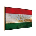 Holzschild 30x40 cm Tadschikistan Tajikistan Flagge Fahne Wappen