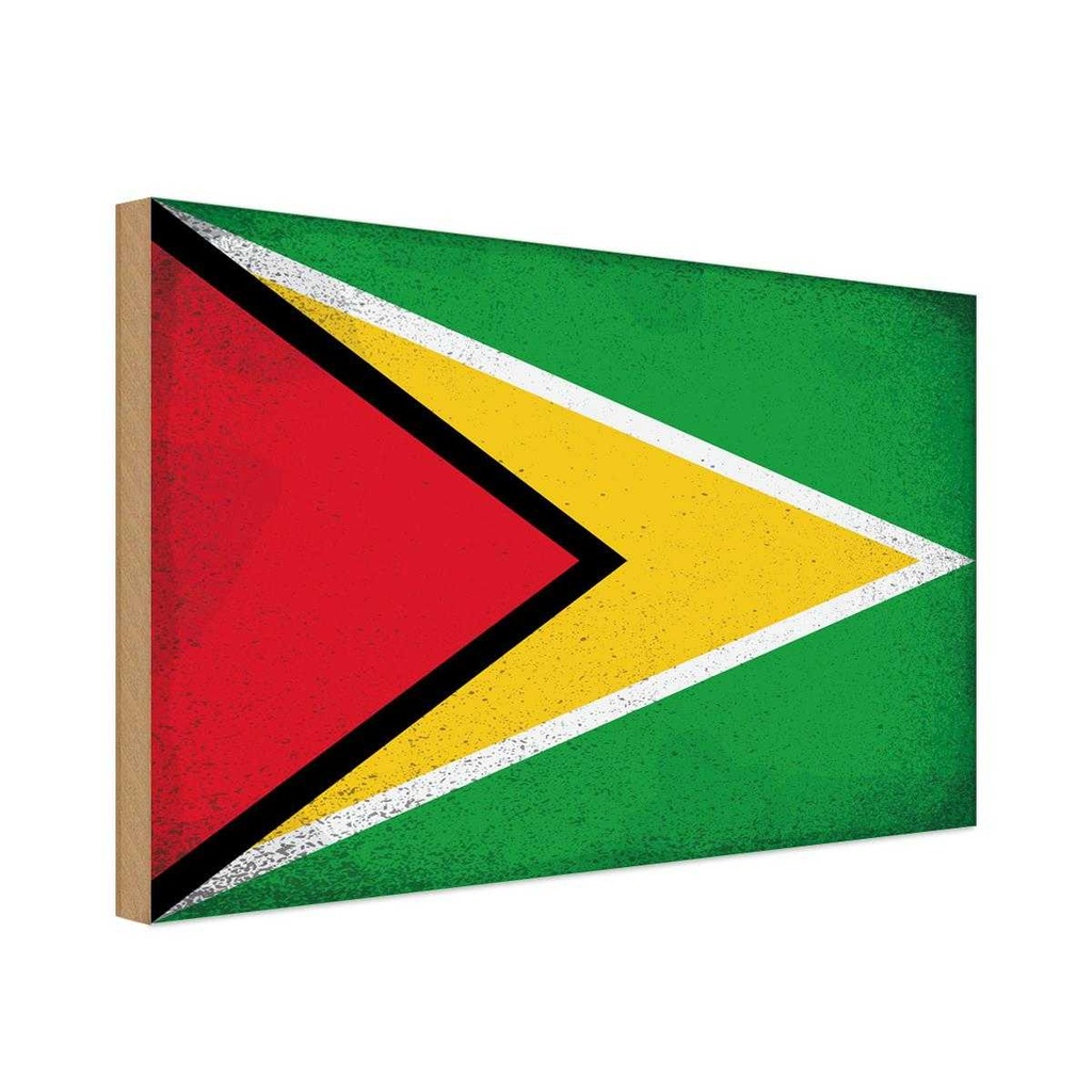Holzschild 30x40 cm Guyana Flagge Fahne Wappen