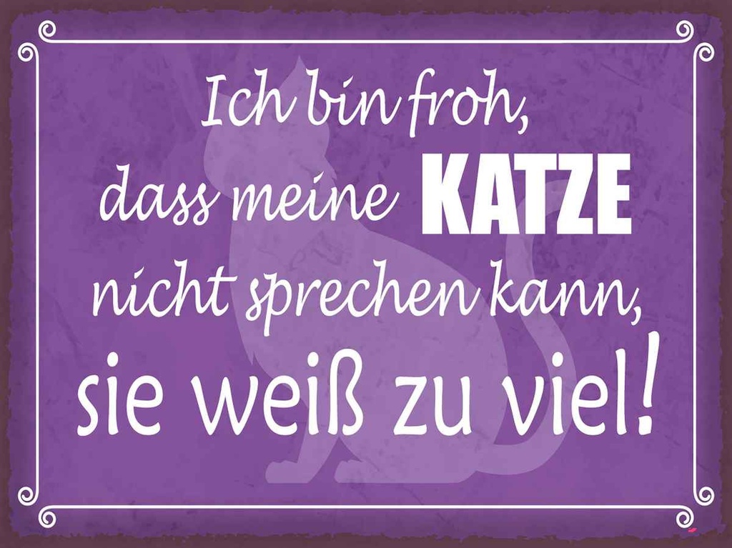 Holzschild 30x40 cm froh meine Katze nicht sprechen Spruch Zitat