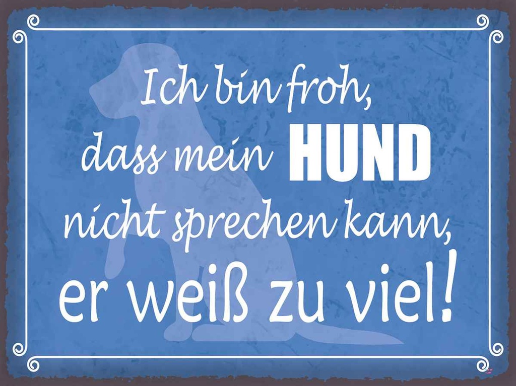 Holzschild 30x40 cm froh mein Hund nicht sprechen Tier Haustier
