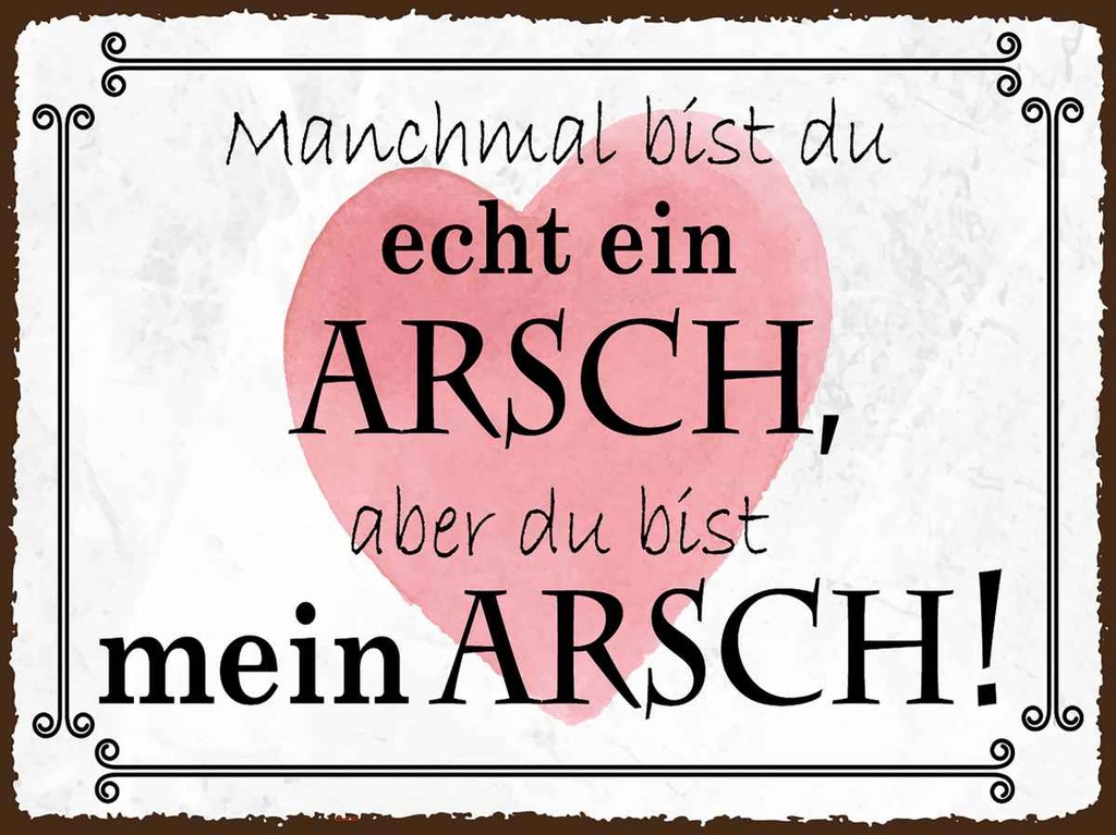 Holzschild 30x40 cm manchmal bist du ein ARSCH aber Spruch Zitat
