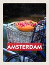 Holzschild 40x30 cm Retro Amsterdam Tulpen Fahrrad Bildmotiv Reisemotiv Europa
