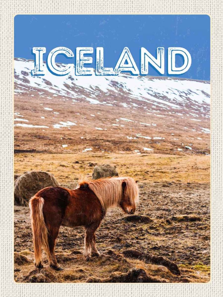 Holzschild 40x30 cm Iceland Pony icelandic horse Bildmotiv Reisemotiv Europa