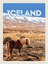 Holzschild 40x30 cm Iceland Pony icelandic horse Bildmotiv Reisemotiv Europa