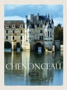Holzschild 40x30 cm Retro Chenonceau France Schloss Bildmotiv Reisemotiv Europa