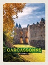 Holzschild 40x30 cm Carcassonne France Reiseziel Bildmotiv Reisemotiv Abenteuer Reisen