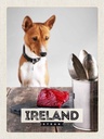 Holzschild 40x30 cm Irland Europa Steak Hund Insel Bildmotiv Reisemotiv