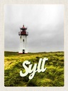 Holzschild 40x30 cm Sylt Strand Leuchtturm Wiese Bildmotiv Reisemotiv Straße Stadt