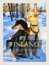Holzschild 40x30 cm Finnland Schnee Winterzeit Wald Hunde Bildmotiv Reisemotiv Europa