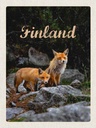 Holzschild 40x30 cm Finnland Füchse Wald Tiere Natur Bildmotiv Reisemotiv Europa