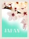 Holzschild 40x30 cm Japan Asien Blume weiß rosa Natur Bildmotiv Reisemotiv Abenteuer Reisen