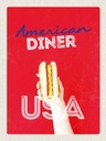 Holzschild 40x30 cm Amerika USA Hot Dog Fast Food Gericht Bildmotiv Reisemotiv